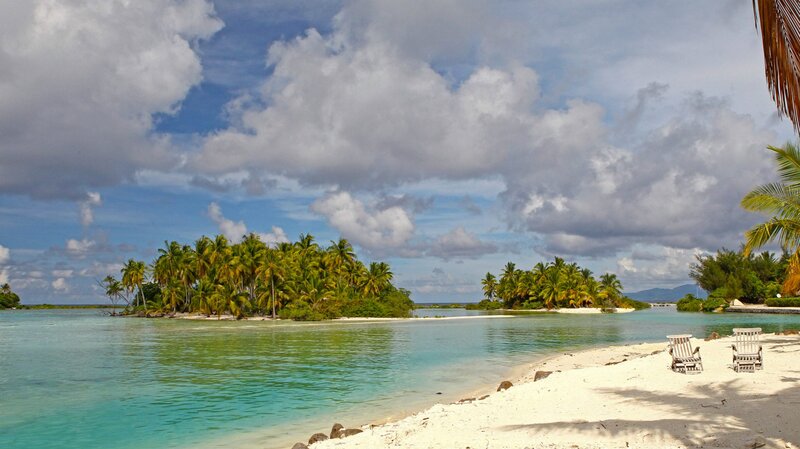 Tropical Island with Palm Trees — Blue, Serene, Afternoon, Photograph, Beach