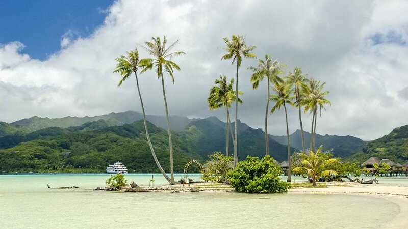 Tropical Island with Palm Trees — Blue, Serene, Afternoon, Photograph, Mountains