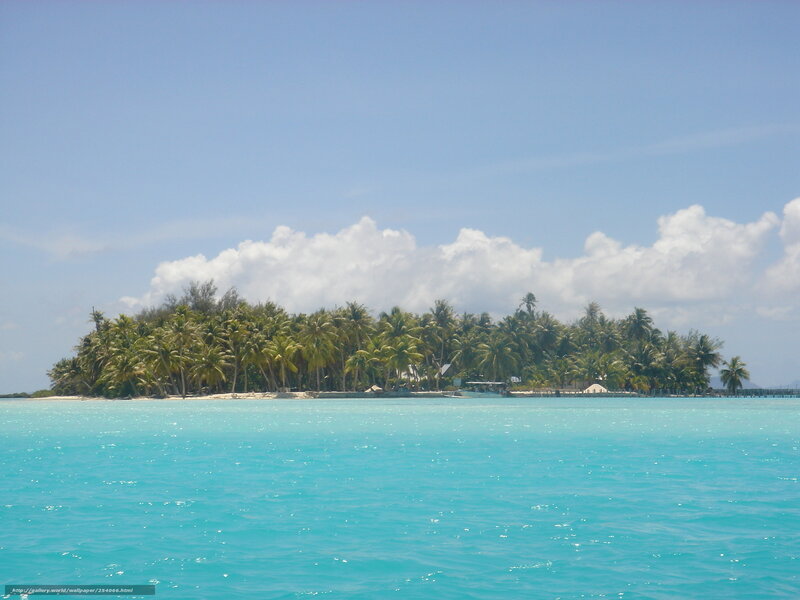 Tropical Island with Palm Trees — Blue, Serene, Afternoon, Photograph, Ocean, Clouds