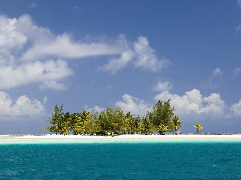 Tropical Island with Palm Trees — Blue, Serene, Afternoon, Photograph, Palm Trees, Beach, Ocean, Clouds, Green