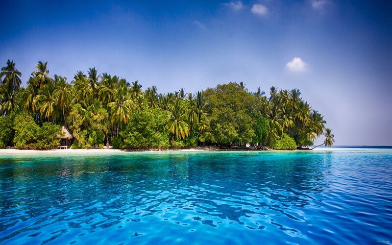 Tropical Island with Palm Trees — Blue, Serene, Afternoon, Photograph, Palm Trees, Beach, Ocean, Sky