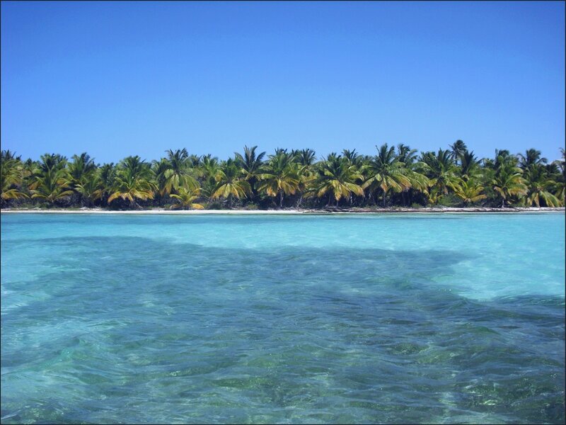 Tropical Island with Palm Trees — Blue, Serene, Afternoon, Photograph, Palm Trees, Ocean, Beach, Green