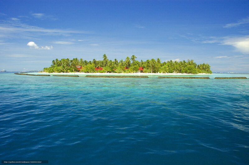 Tropical Island with Palm Trees — Blue, Serene, Afternoon, Photograph, Palm Trees, Ocean, Sky, Buildings