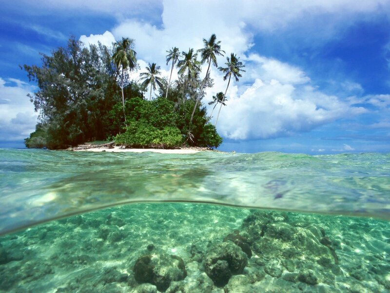 Tropical Island with Palm Trees — Blue, Serene, Afternoon, Photograph, Palm Trees, Ocean, Sky, Coral