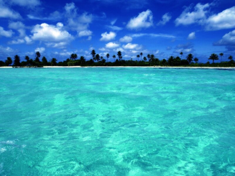 Tropical Island with Palm Trees — Blue, Serene, Afternoon, Photograph, Palm Trees, Ocean, Sky, Turquoise, White