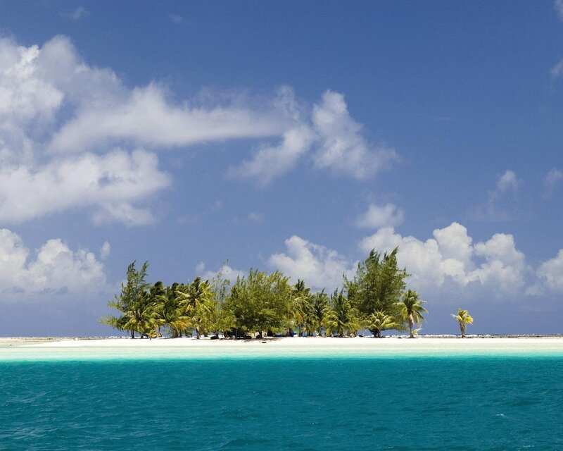 Tropical Island with Palm Trees — Blue, Serene, Afternoon, Photograph, Palm Trees, Sand, Ocean