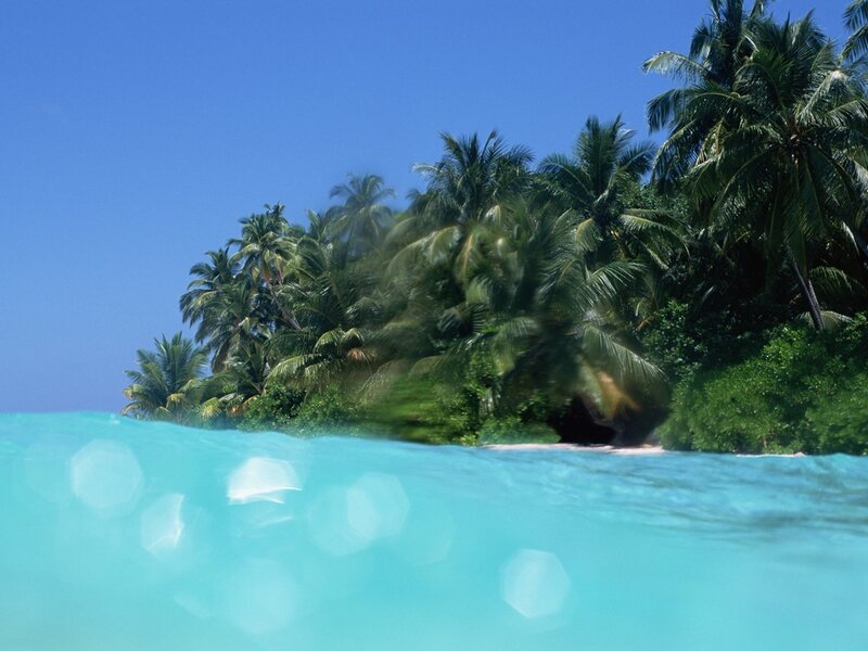 Tropical Island with Palm Trees — Blue, Serene, Afternoon, Photograph