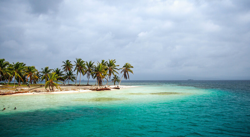 Tropical Island with Palm Trees — Blue, Serene, Photograph, Palm Trees