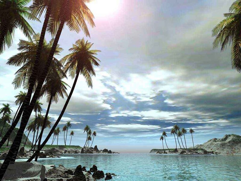 Tropical Island with Palm Trees — Blue