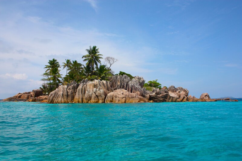 Tropical Island with Palm Trees — Brown