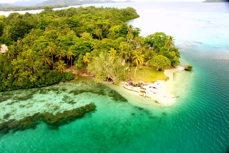 Tropical Island with Palm Trees — Green, Serene, Afternoon, Photograph