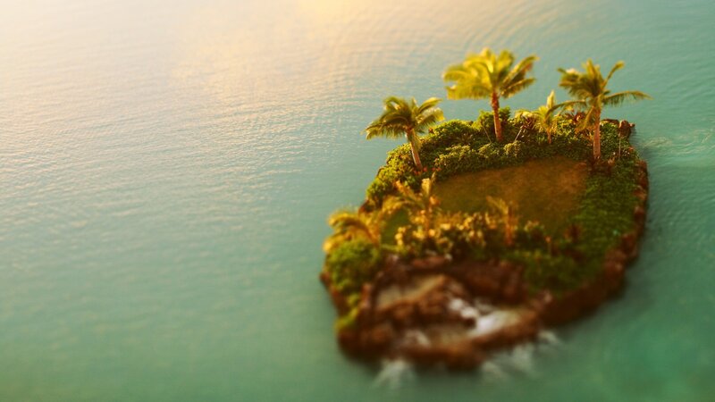 Tropical Island with Palm Trees — Green, Serene, Sunset, Photograph