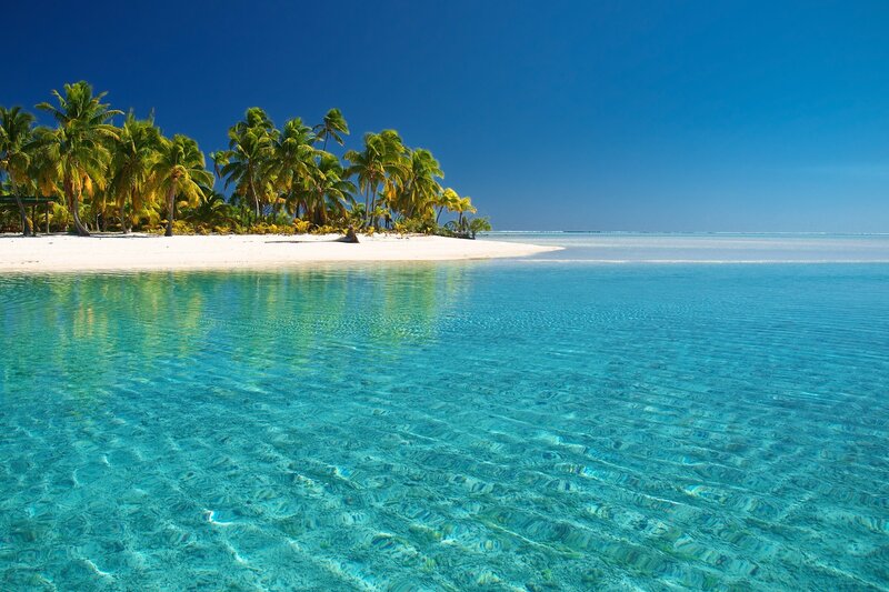 Tropical Island with Palm Trees — Palm Trees, White