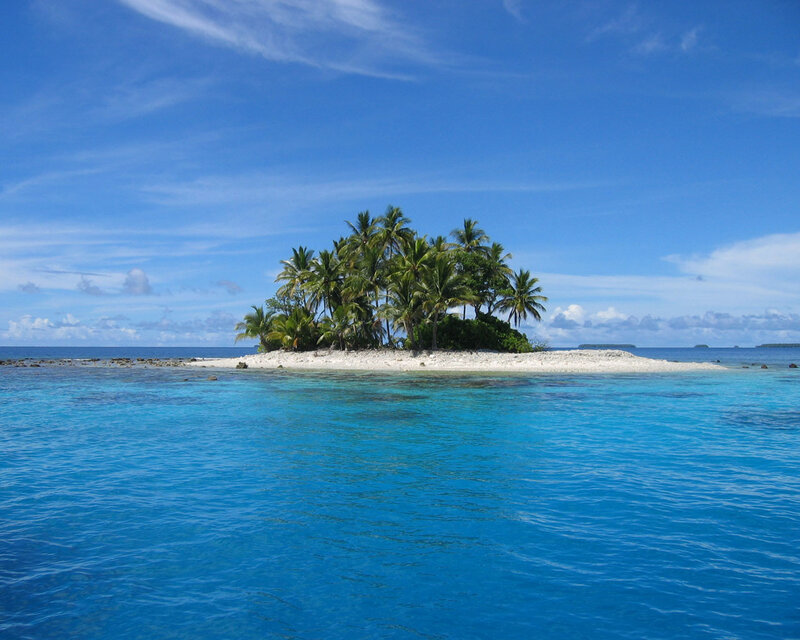 Tropical Island with Palm Trees — Photograph, Green