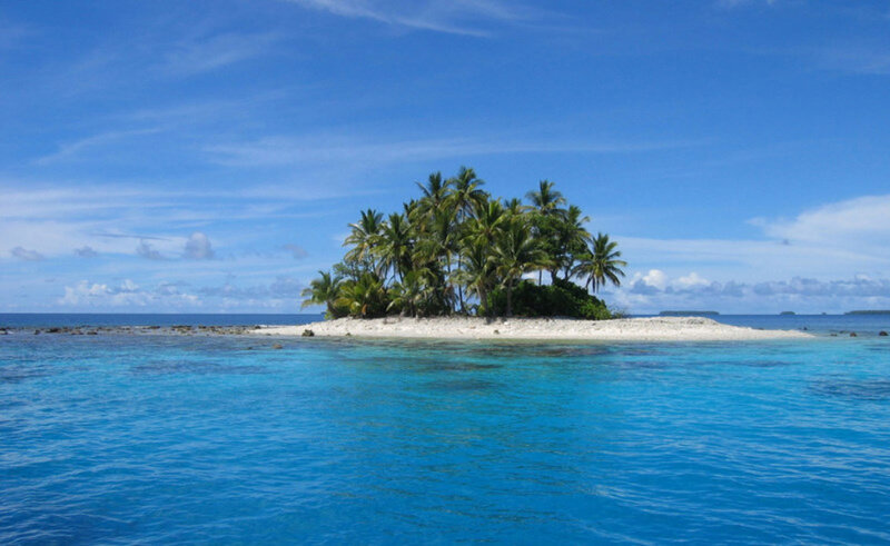 Tropical Island with Palm Trees — Photograph, White
