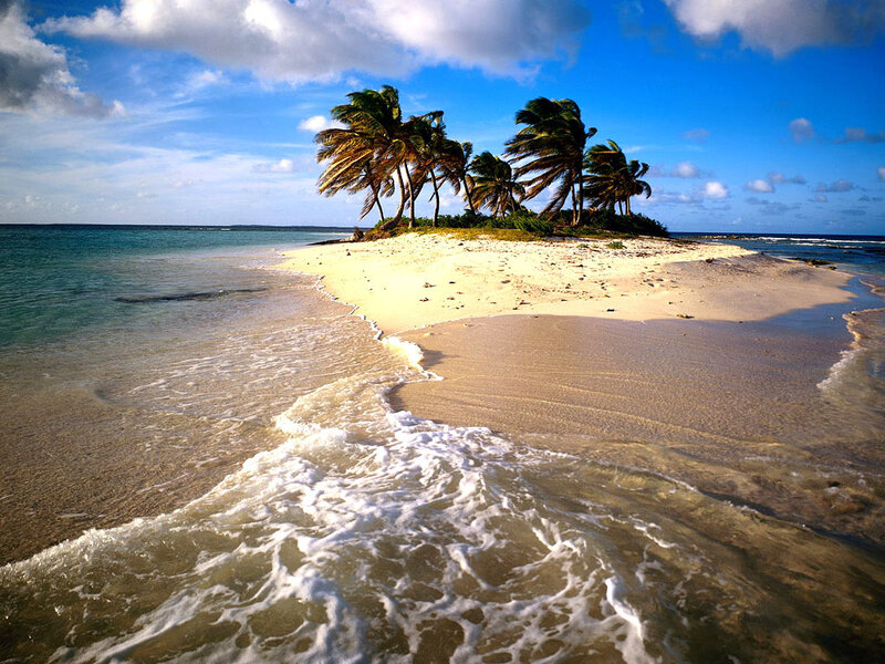 Tropical Island with Palm Trees — Serene, Brown