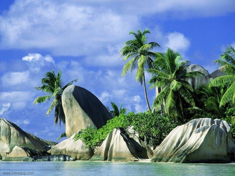 Tropical Island with Palm Trees — Serene, Rocks