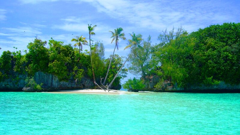 Tropical Island with Palm Trees — Turquoise, Serene