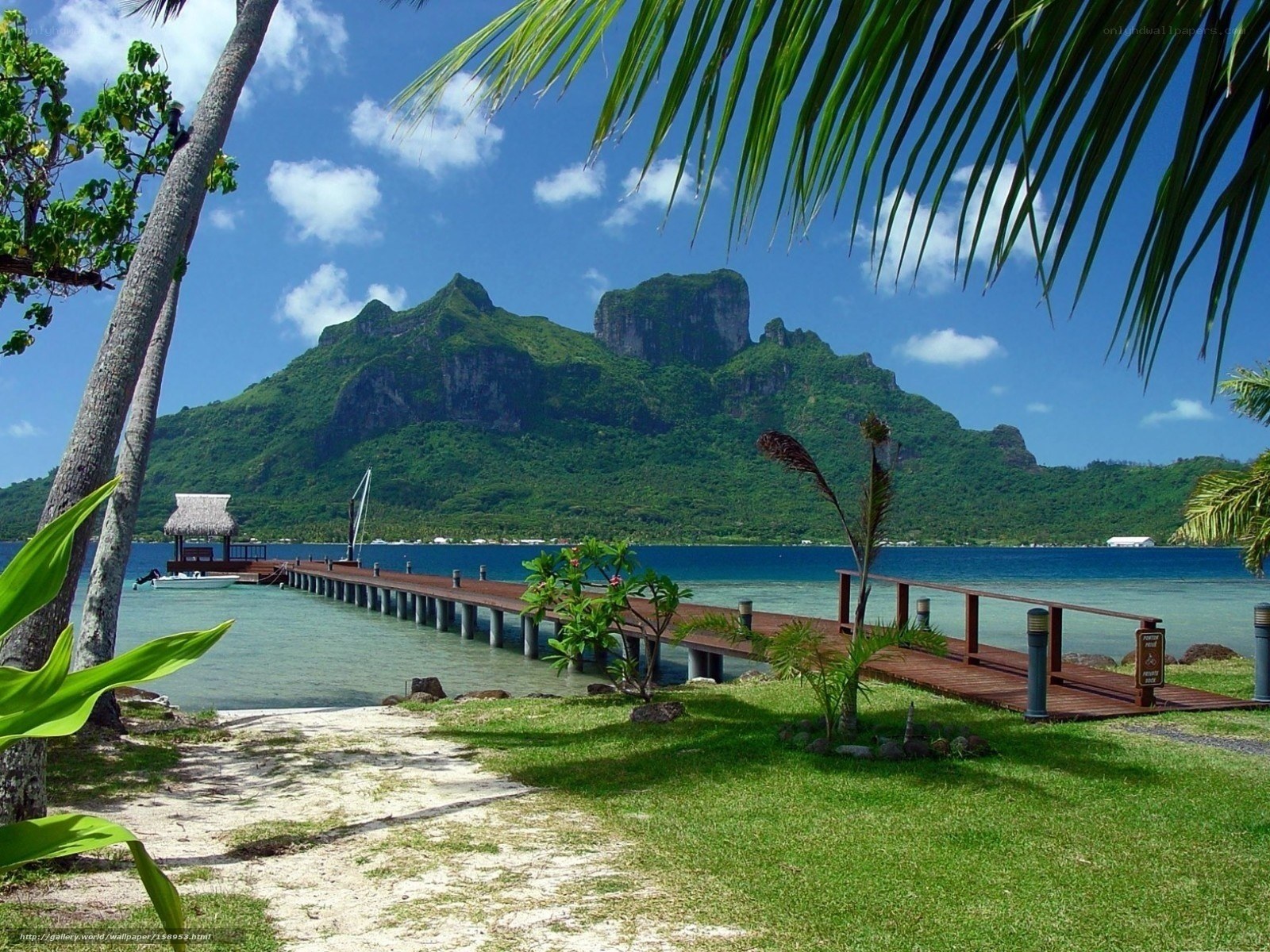 tropical island with pier