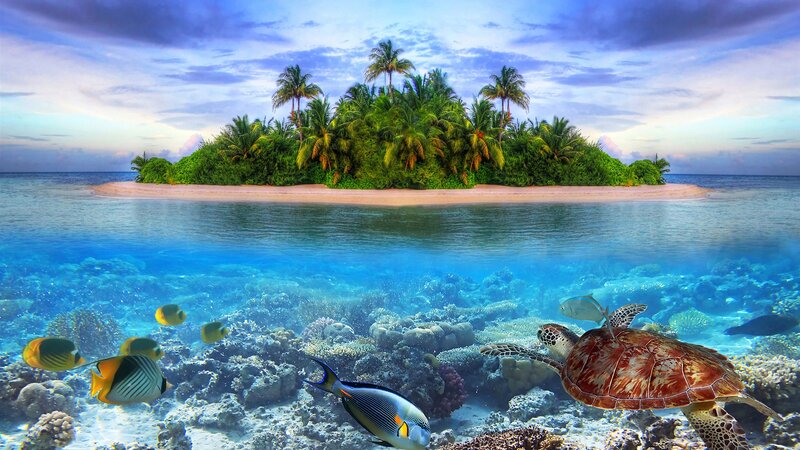 Tropical Island with Sea Life — Blue