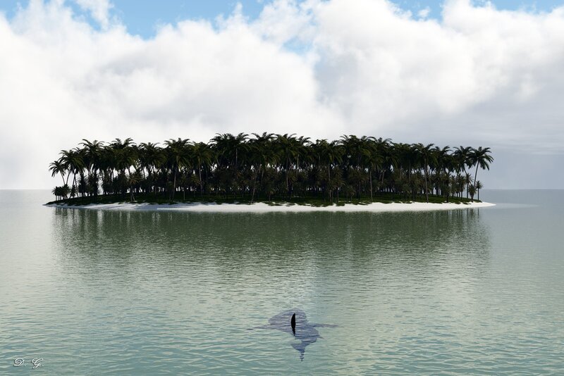 tropical island with shark fin