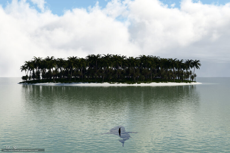 tropical island with shark