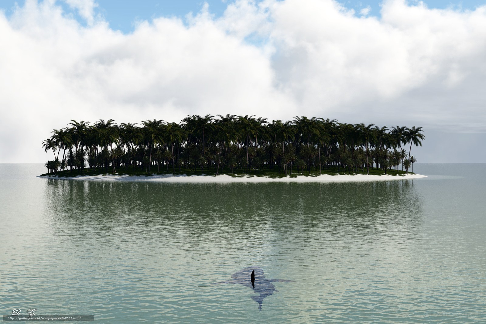 tropical island with shark