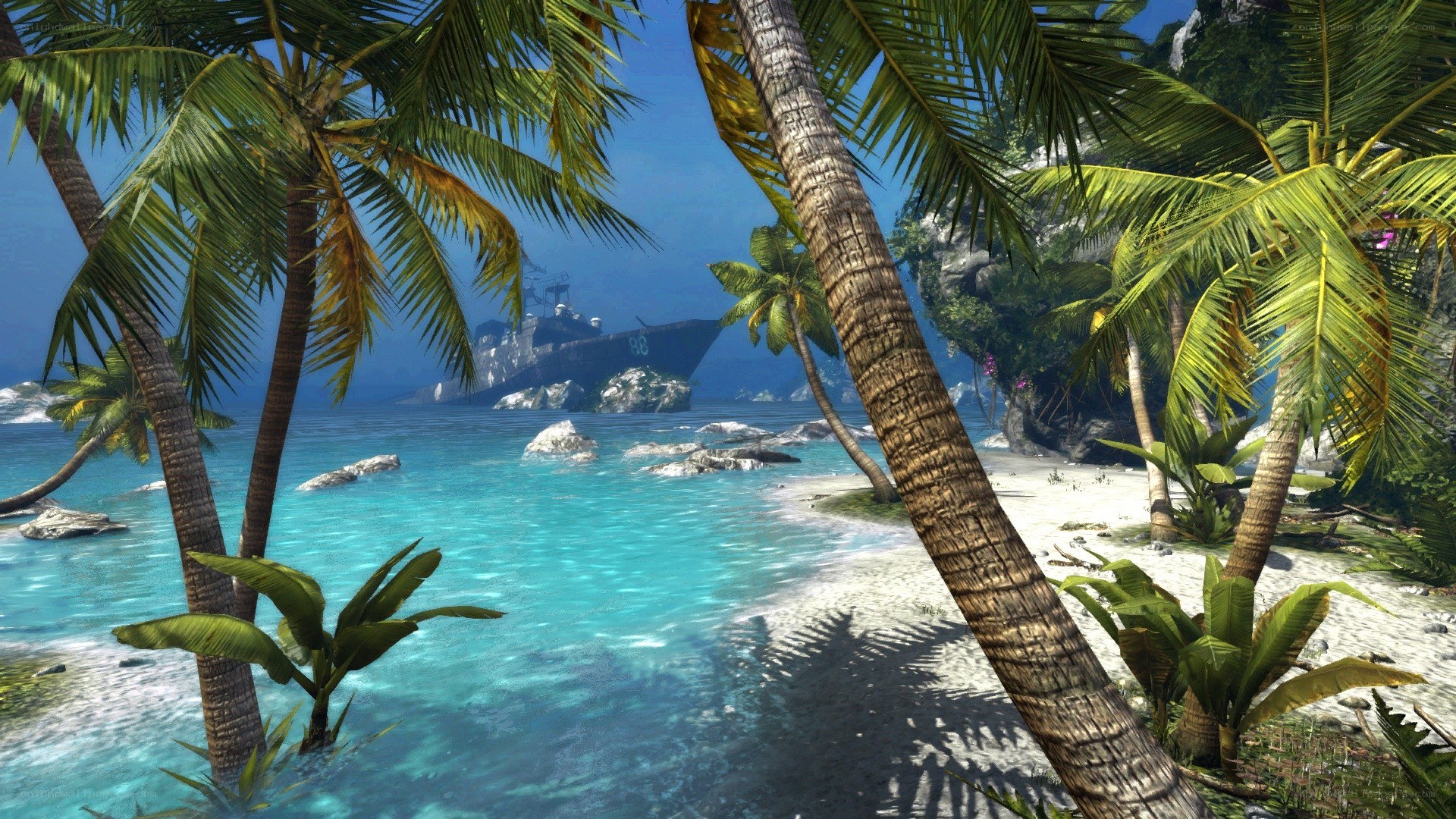 tropical island with shipwreck