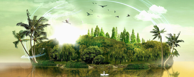 Tropical Island with Swans