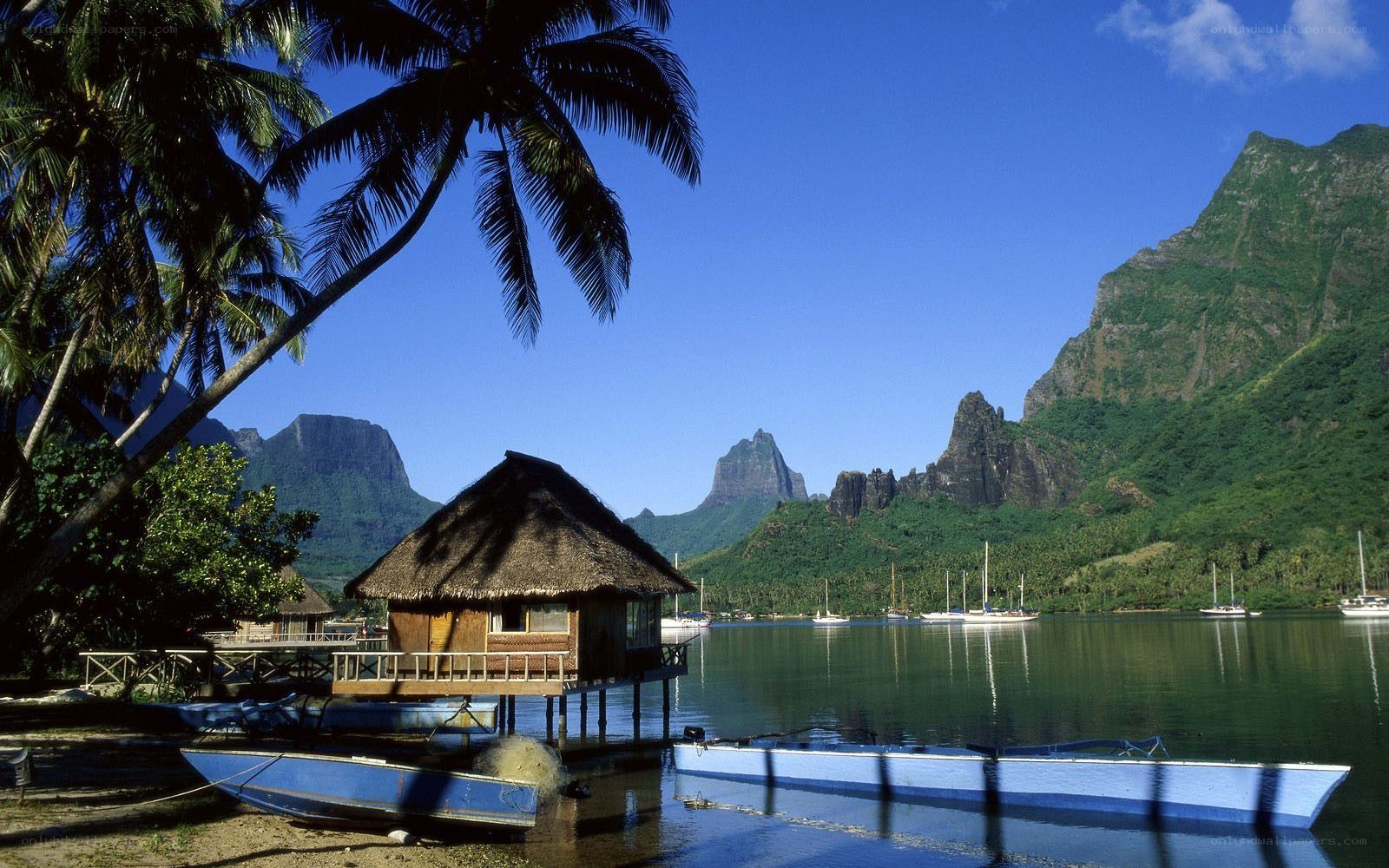 Tropical island with thatched hut