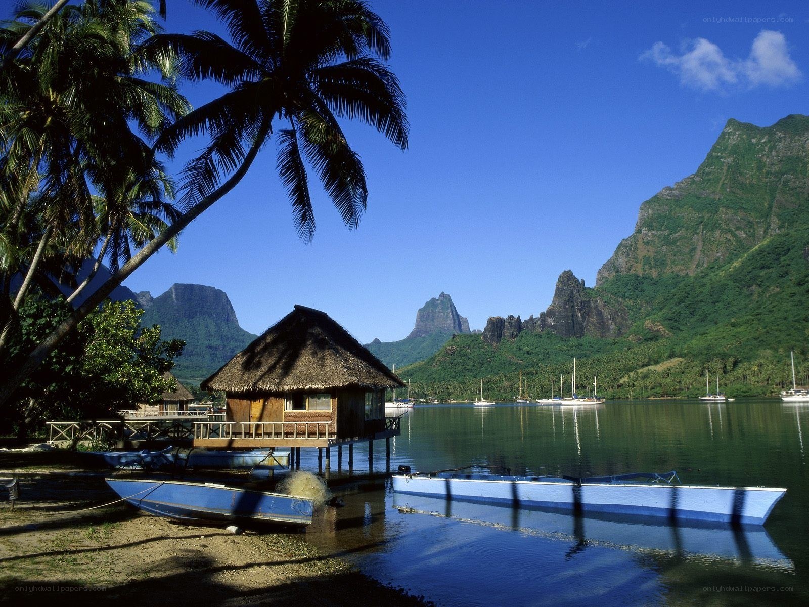 Tropical island with thatched hut
