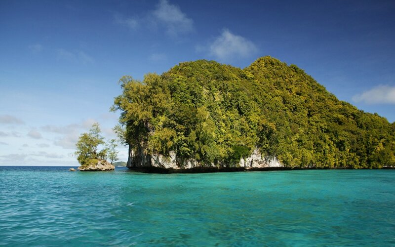 Tropical Island with Trees