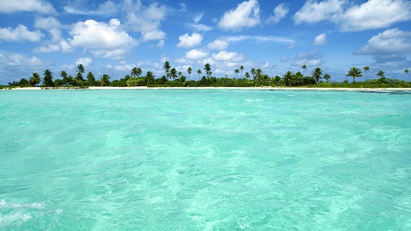 tropical island with turquoise water