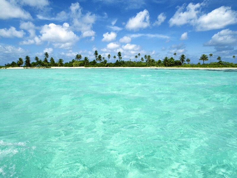 tropical island with turquoise water