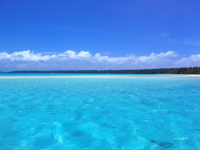 tropical island with turquoise water