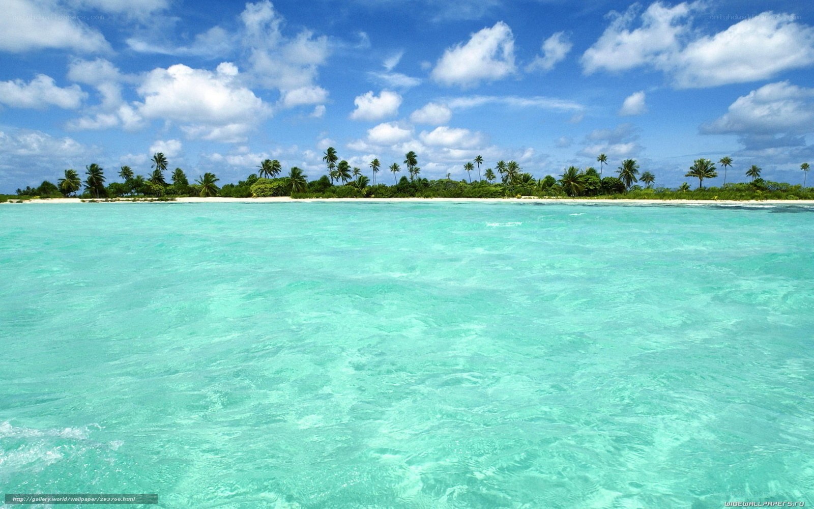 Tropical island with turquoise water