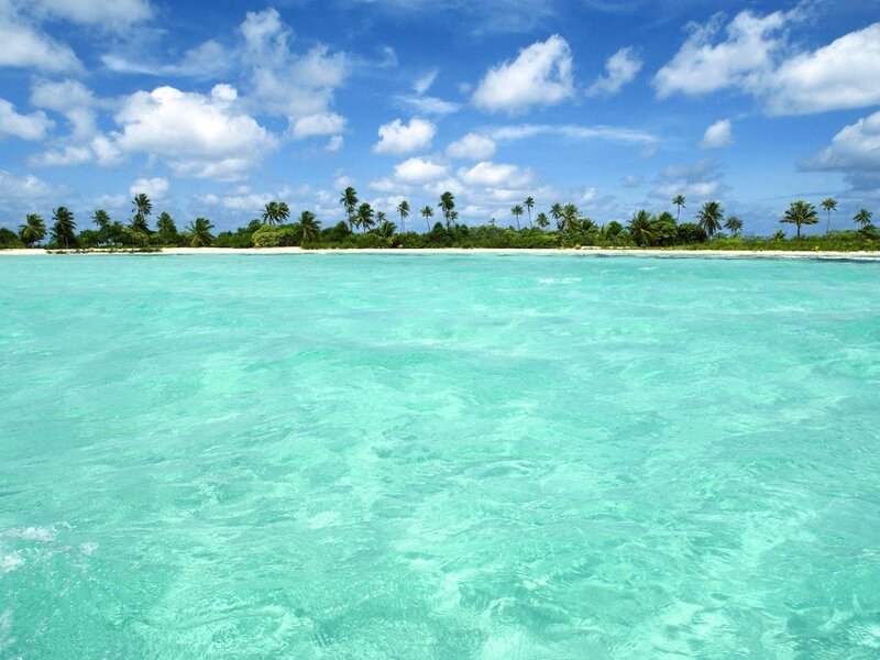 tropical island with turquoise water