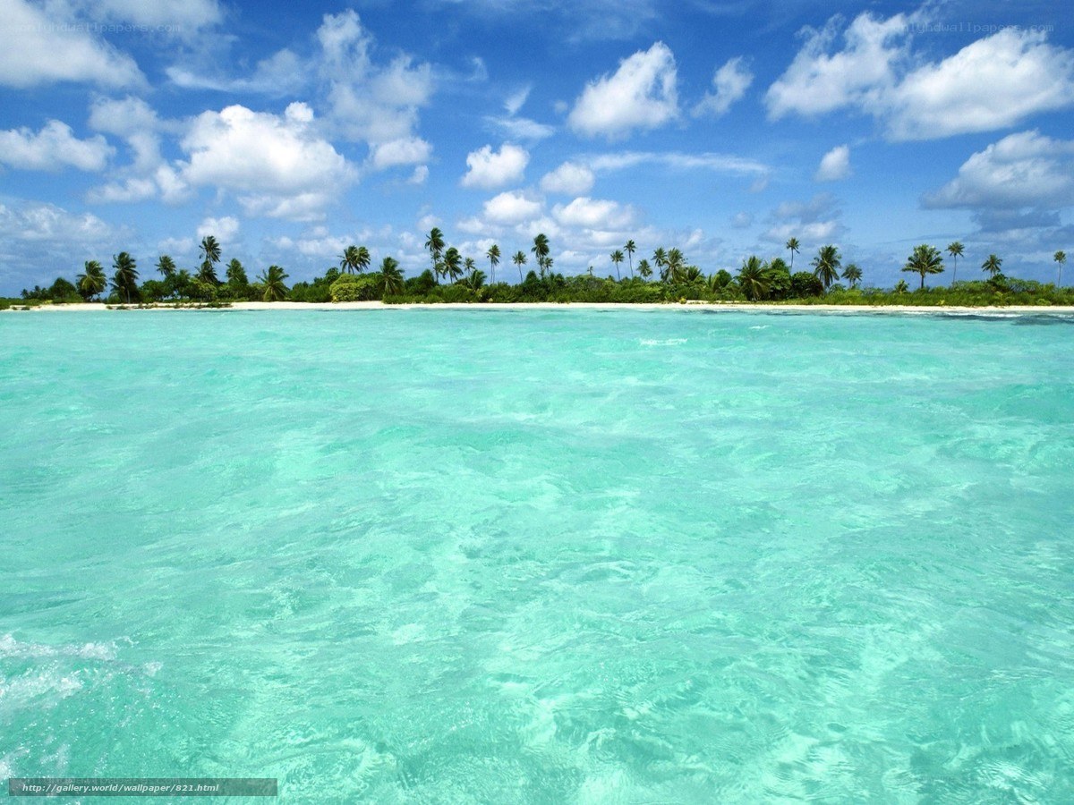 tropical island with turquoise water