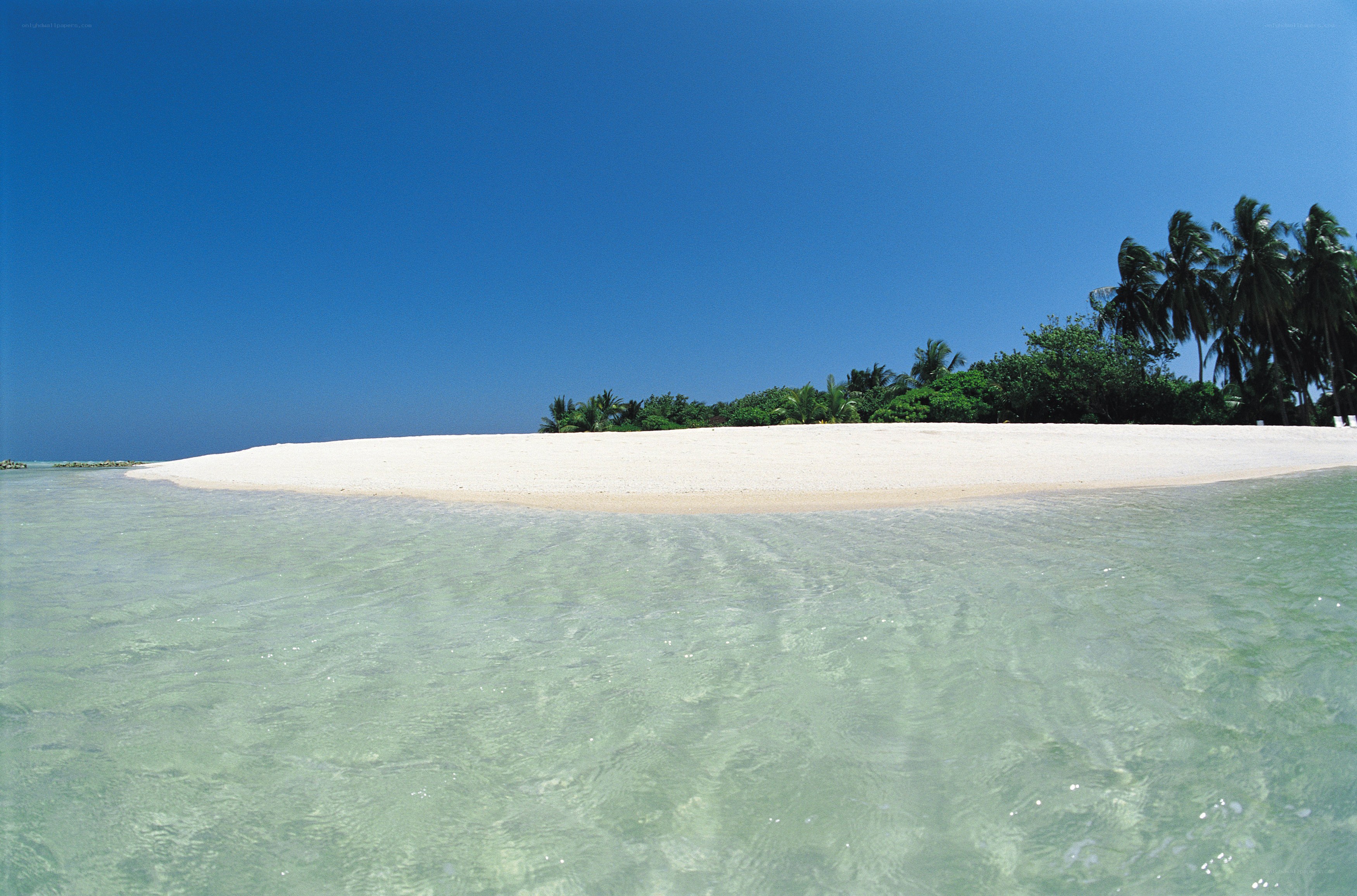 tropical island with white sand