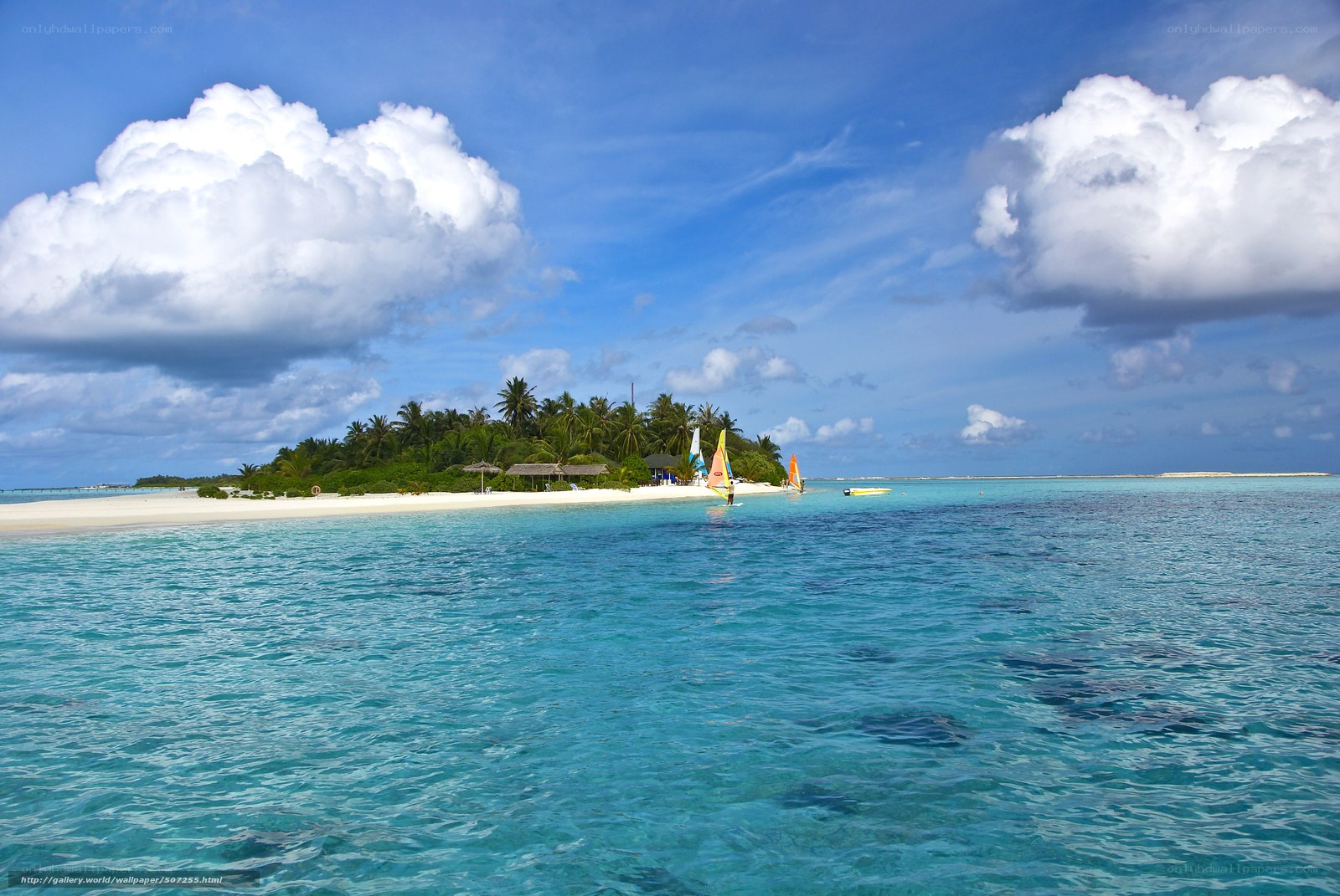 tropical island with windsurfers