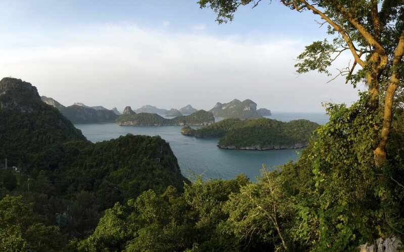 Tropical Islands and Sea — Green