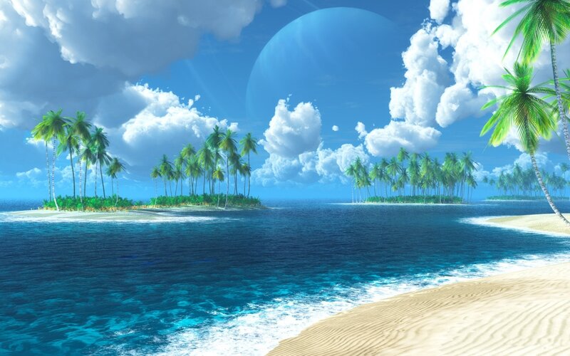 Tropical Islands with Palm Trees