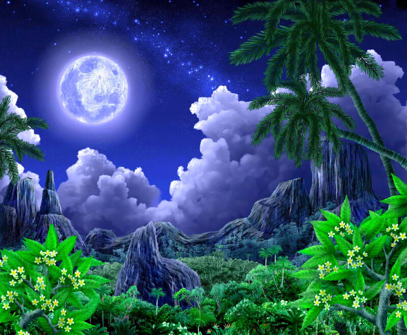 Tropical Jungle at Night