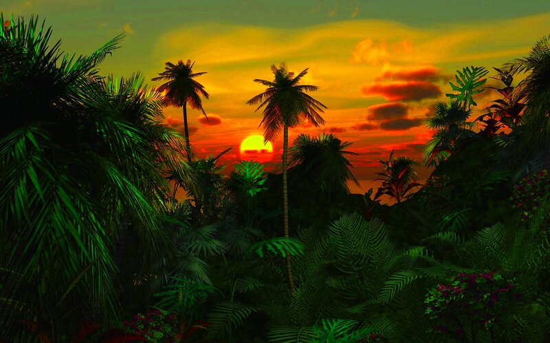 Tropical Jungle at Sunset