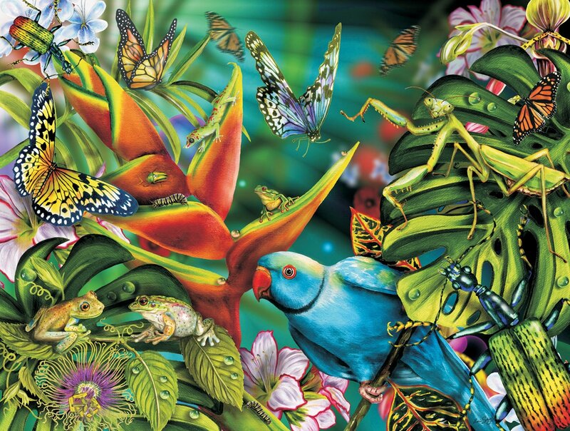 Tropical Jungle Life