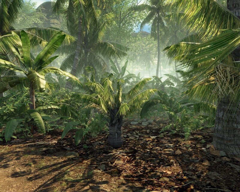 Tropical Jungle Scene