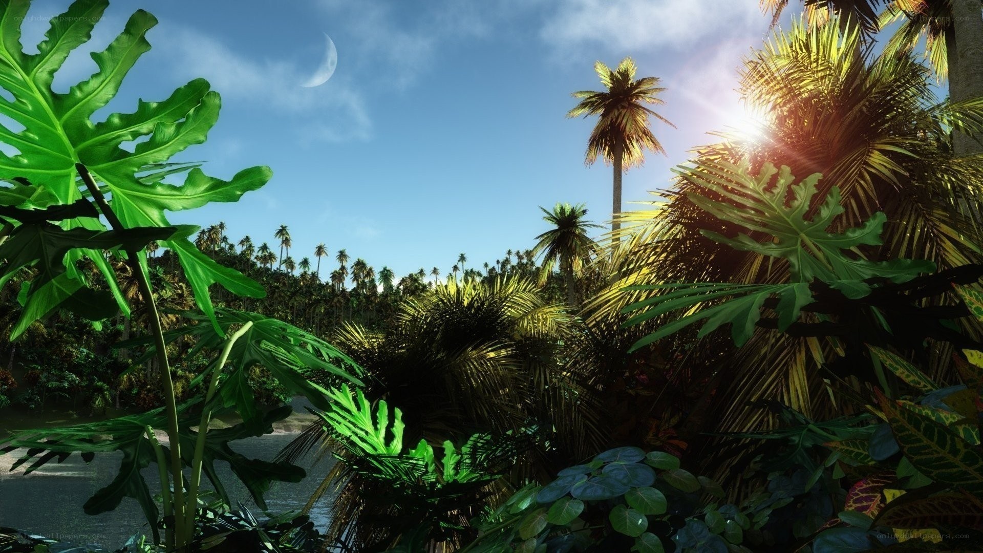 tropical jungle with moon