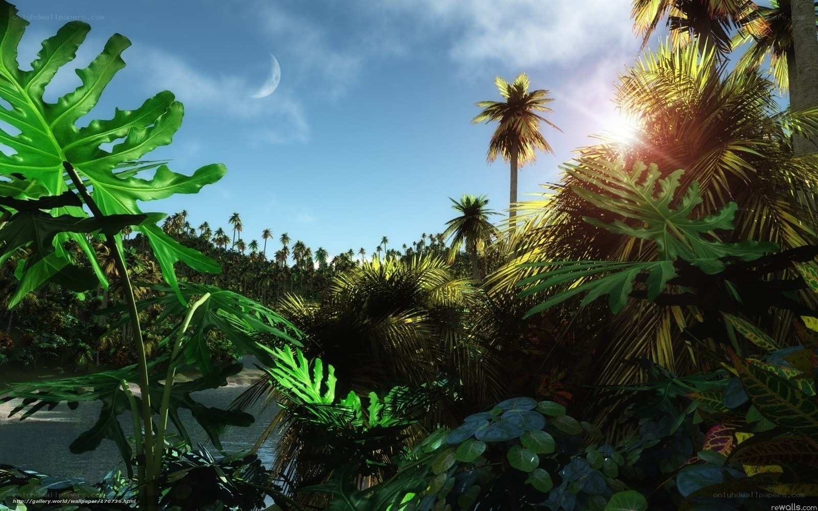 tropical jungle with moon