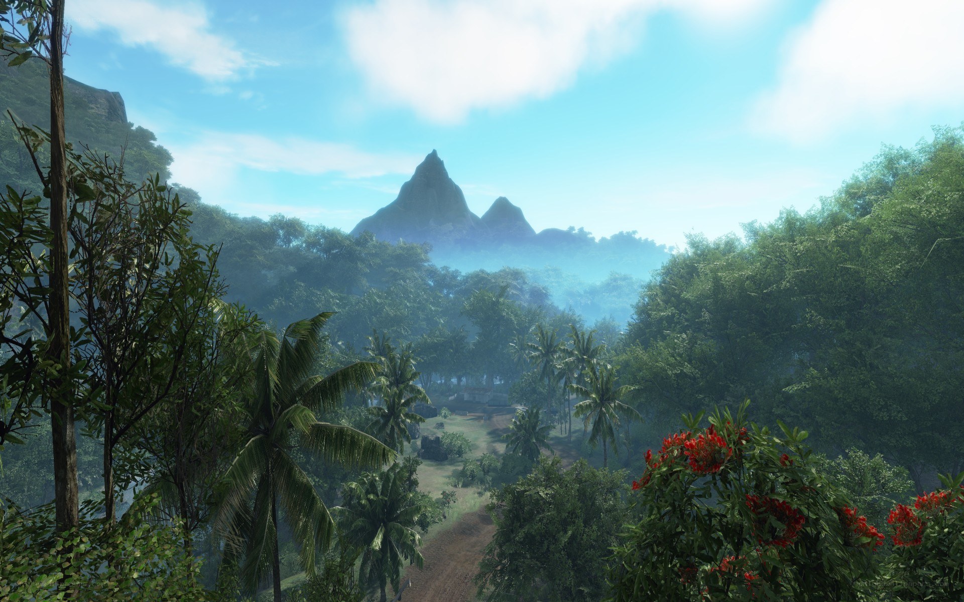 tropical jungle with mountains