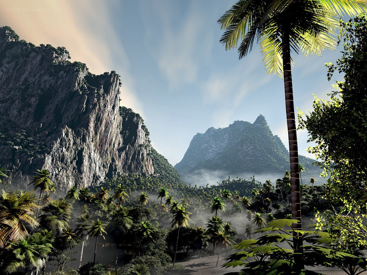 tropical jungle with mountains